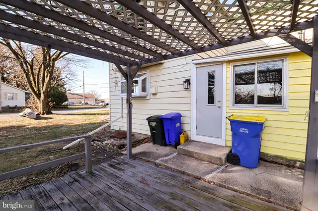 a view of a yard with plants and trees