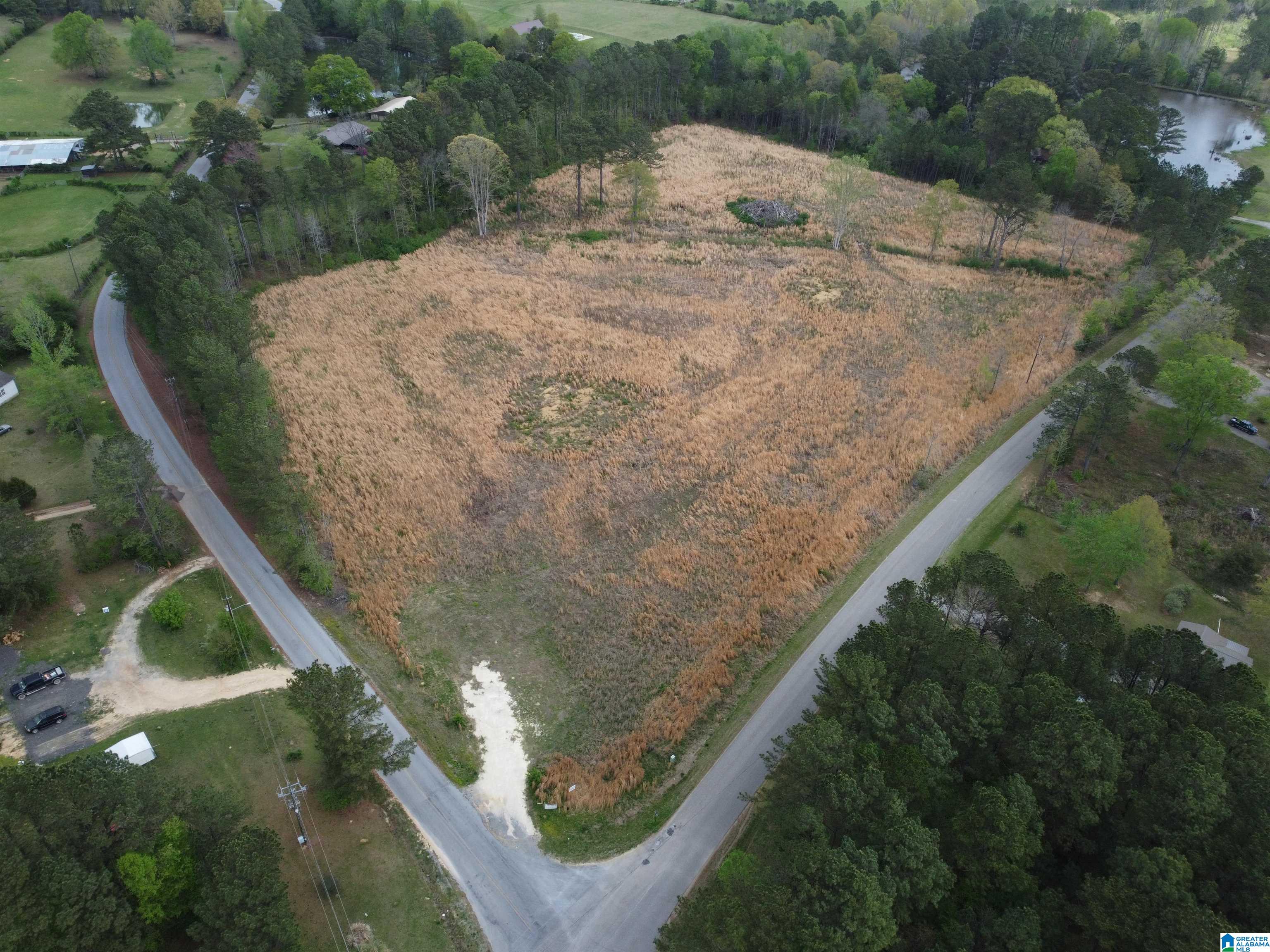 0 Greensport Road Ashville, AL 35953 - Photo 13 of 43