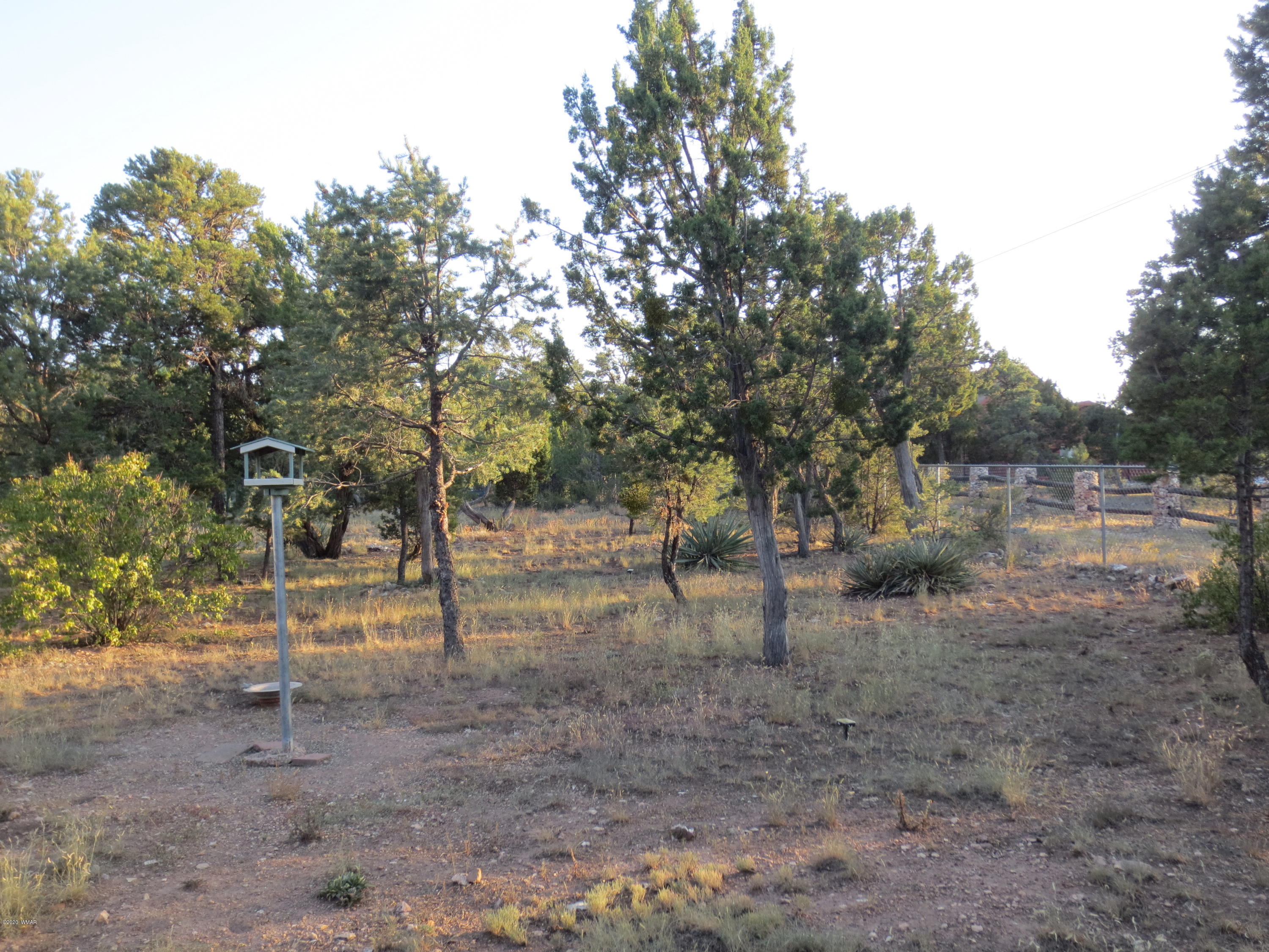 2936 Wildcat Trail Overgaard, AZ 85933 - Photo 11 of 28
