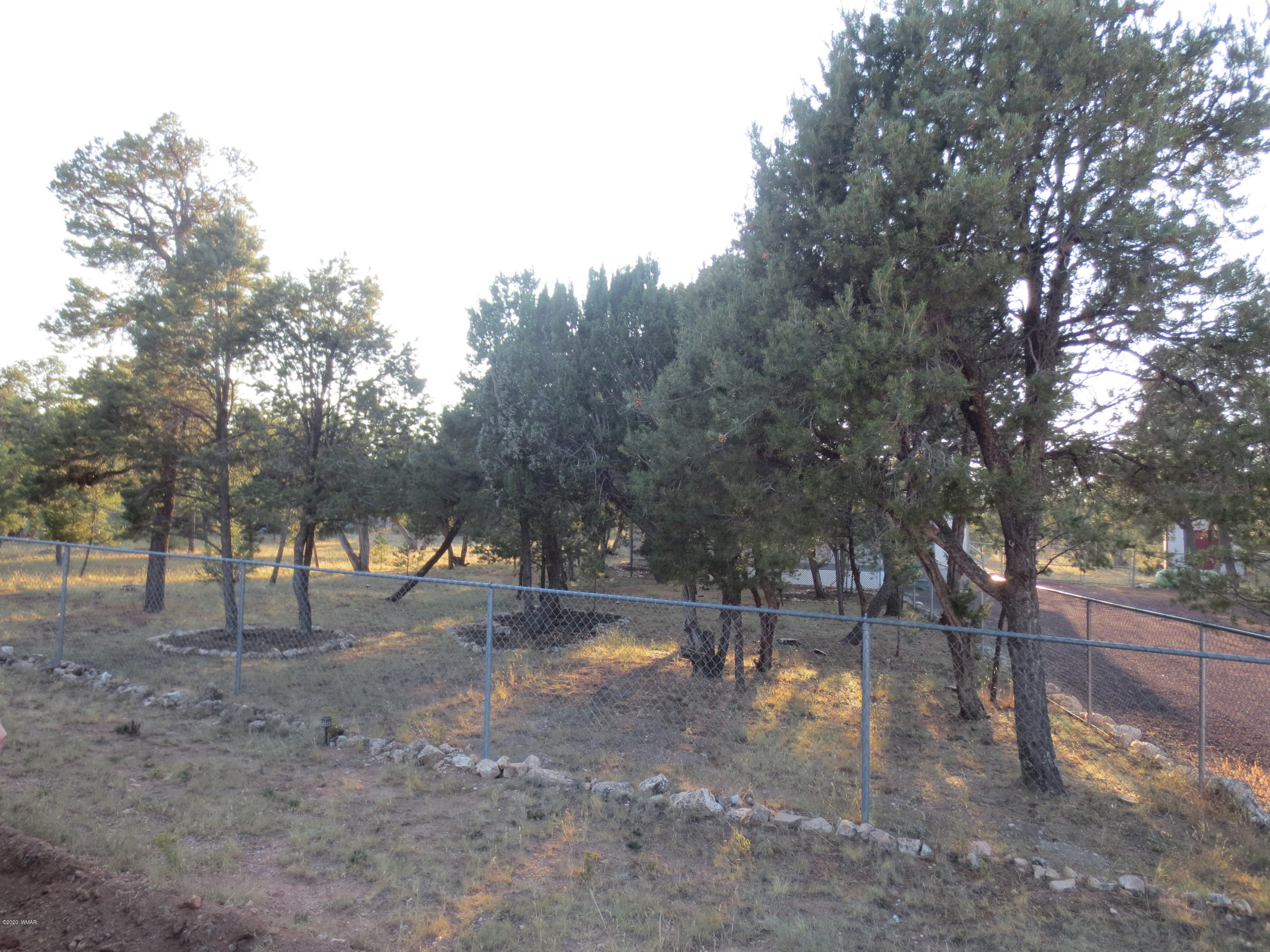 2936 Wildcat Trail Overgaard, AZ 85933 - Photo 5 of 28