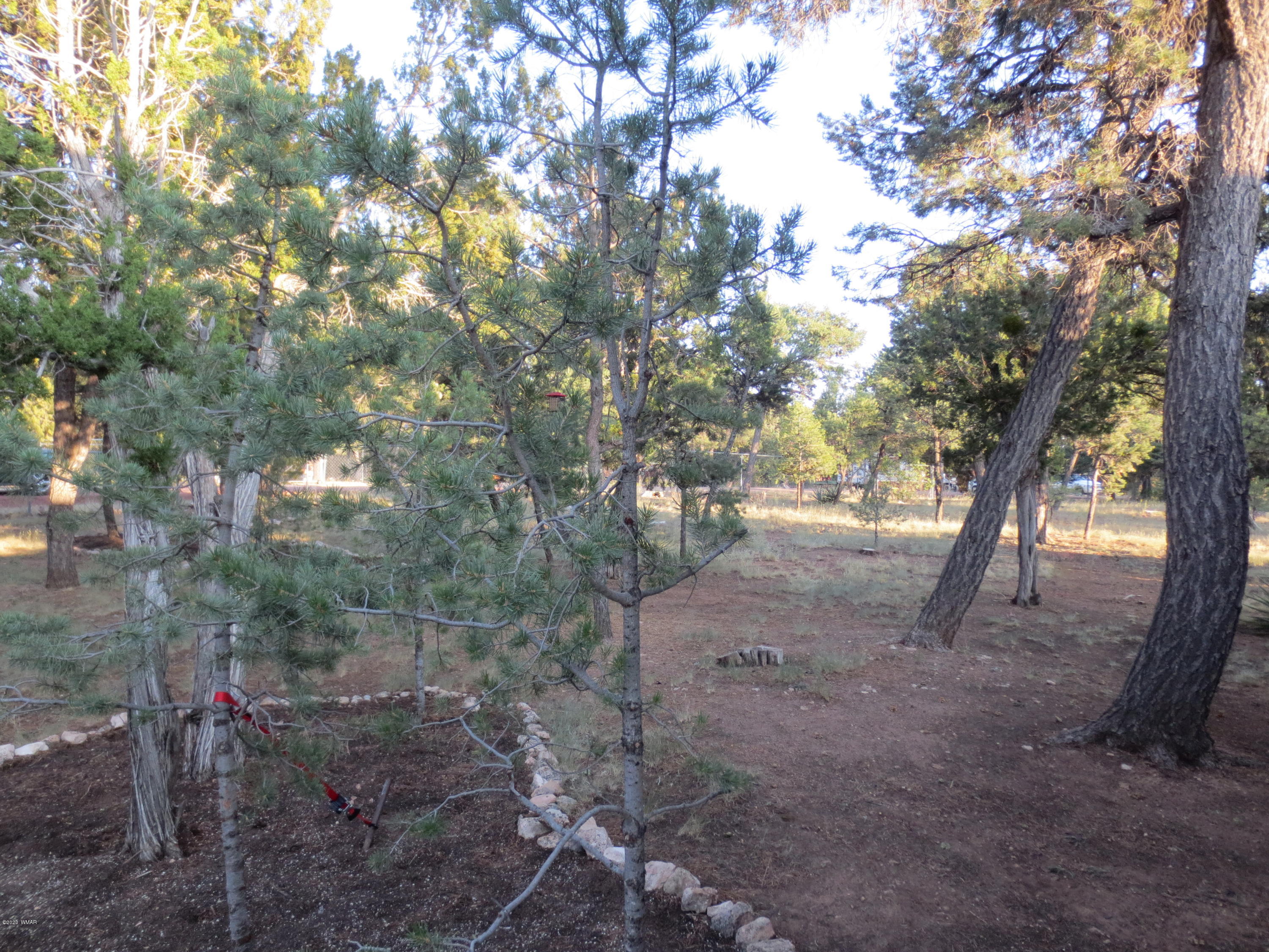 2936 Wildcat Trail Overgaard, AZ 85933 - Photo 6 of 28