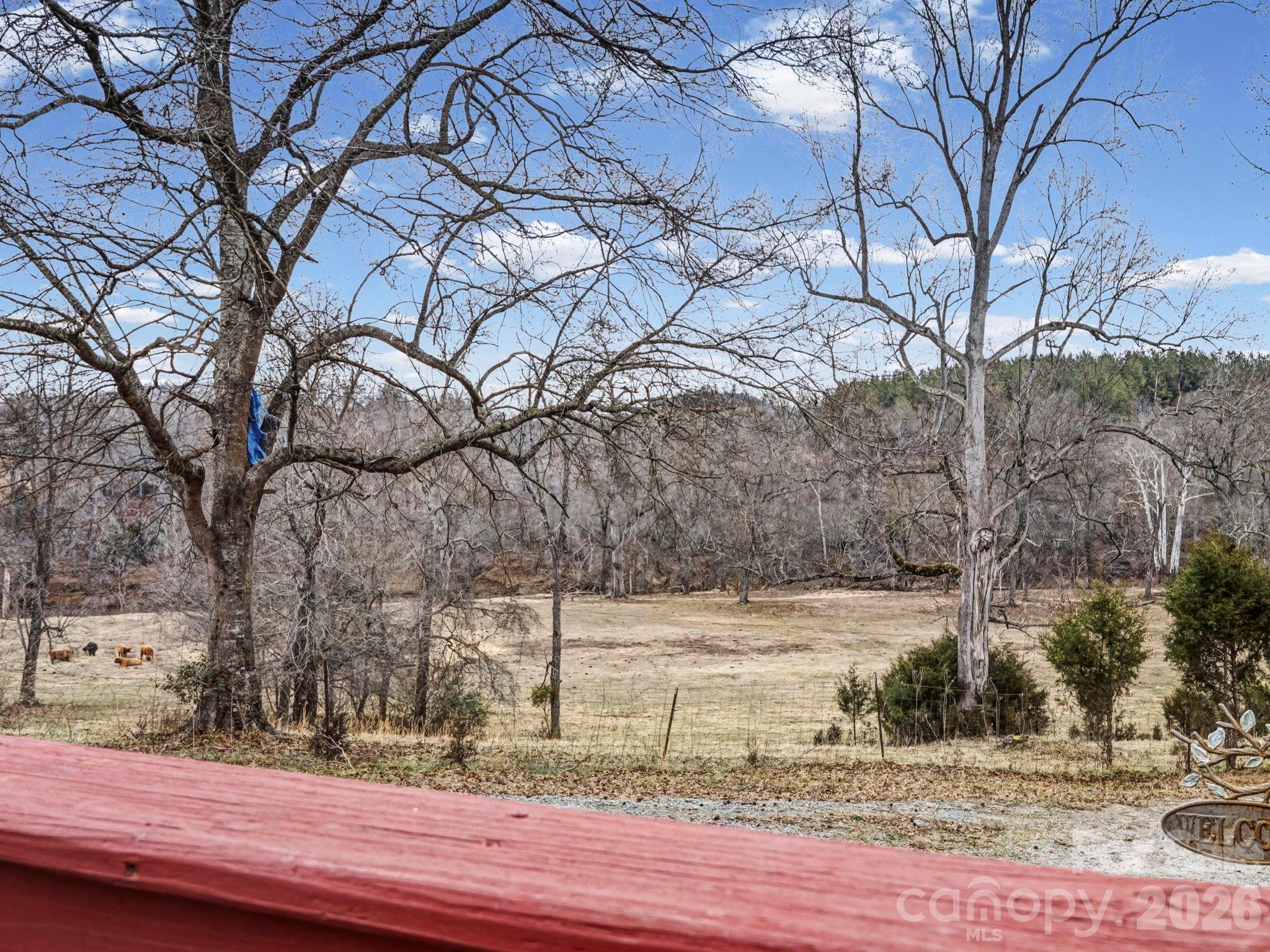 347 Hines Road Mooresboro, NC 28114 - Photo 38 of 48