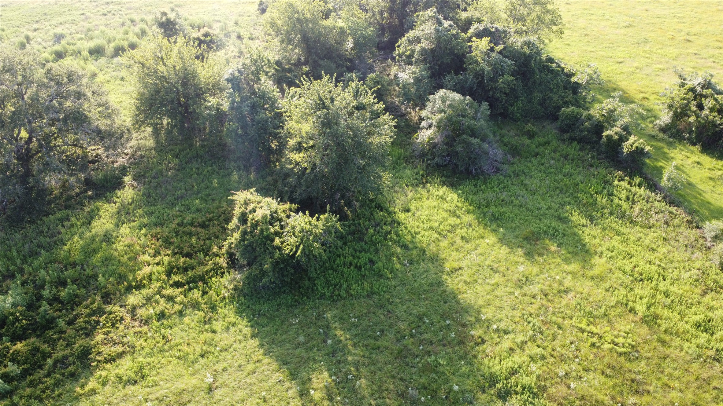 23579 Jones Road Hempstead, TX 77445 - Photo 6 of 10