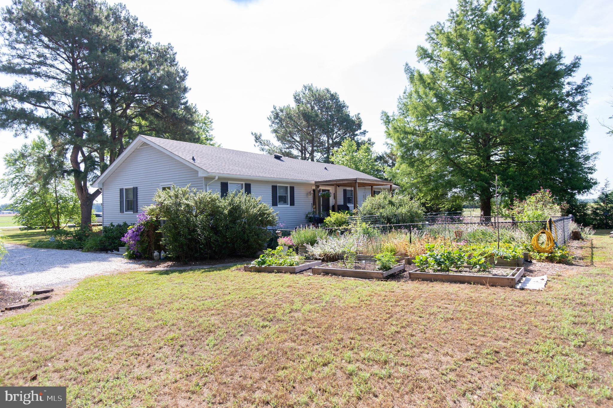 5188 Aireys Road Cambridge, MD 21613 - Photo 41 of 58
