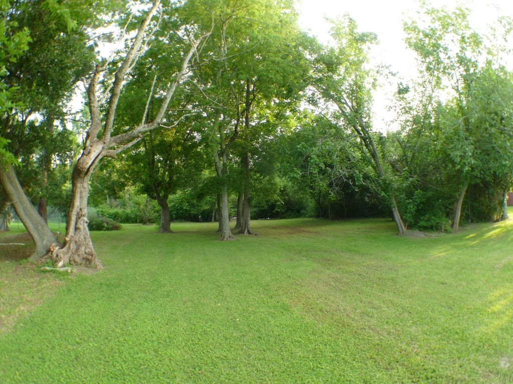 1615 East Wallisville Road Highlands, TX 77562 - Photo 5 of 32 a view of a trees in a park