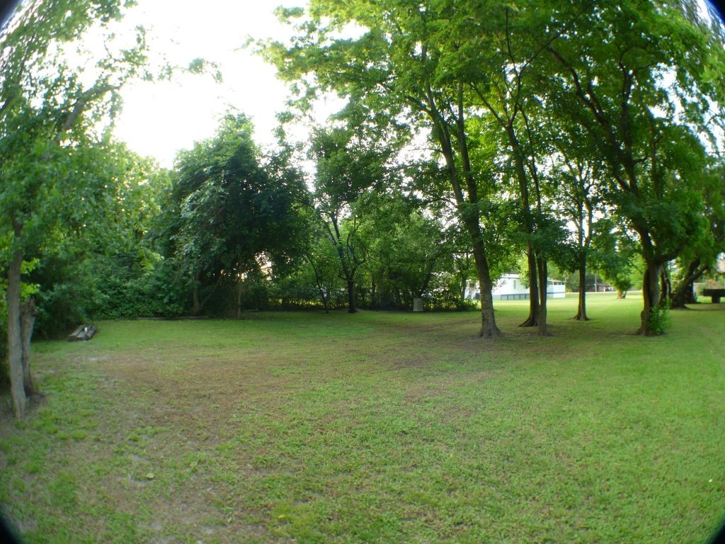 1615 East Wallisville Road Highlands, TX 77562 - Photo 6 of 32 a view of a trees in a yard