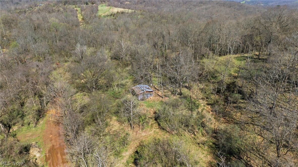 Logston Run Road Ravenswood, WV 26164 - Photo 8 of 10