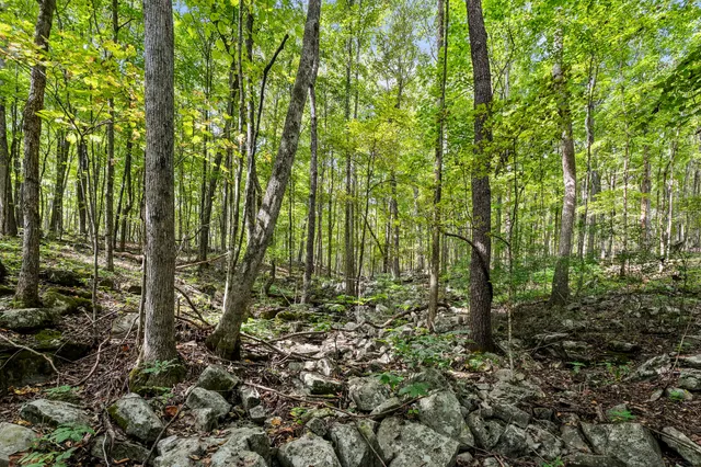 $799,000 | 585 Deep Hollow Lane, Winchester, TN 37398