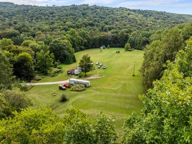 a view of a trees in a field