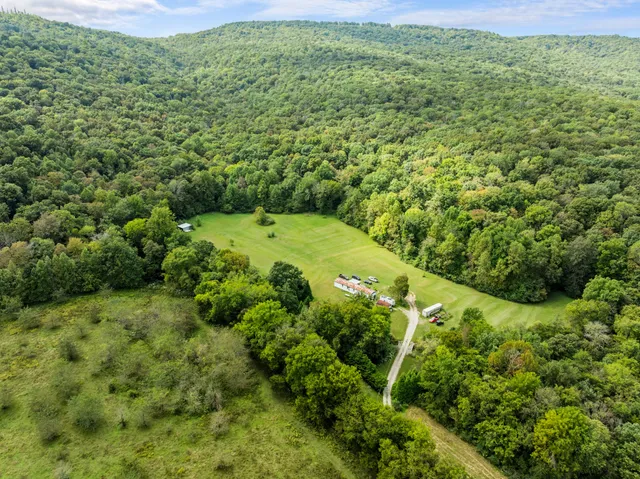 a view of a large yard with lots of green space and plants