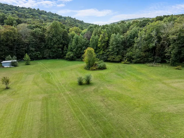 a green field with lots of trees in the background