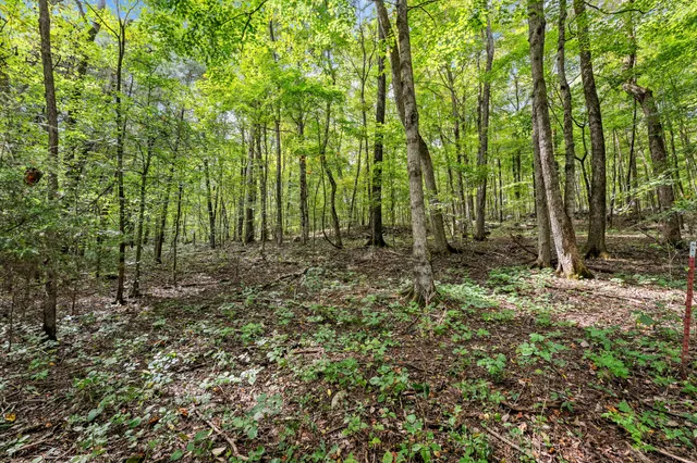 a view of outdoor space and trees