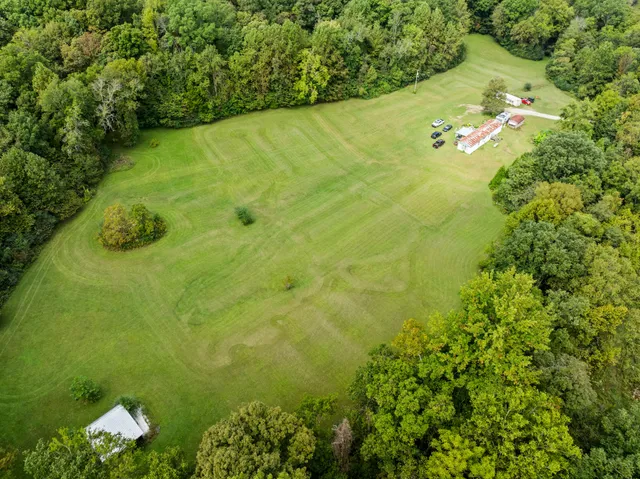 a view of a yard with plants and large trees
