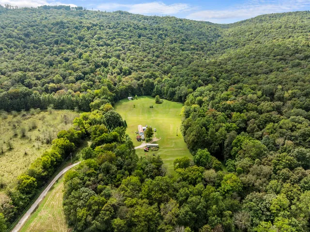 a view of a garden with a building in the background