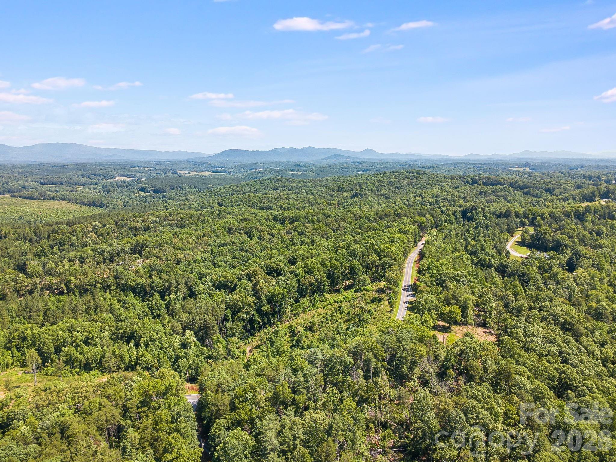 Lot #2 Clark Road Rutherfordton, NC 28139 - Photo 22 of 36