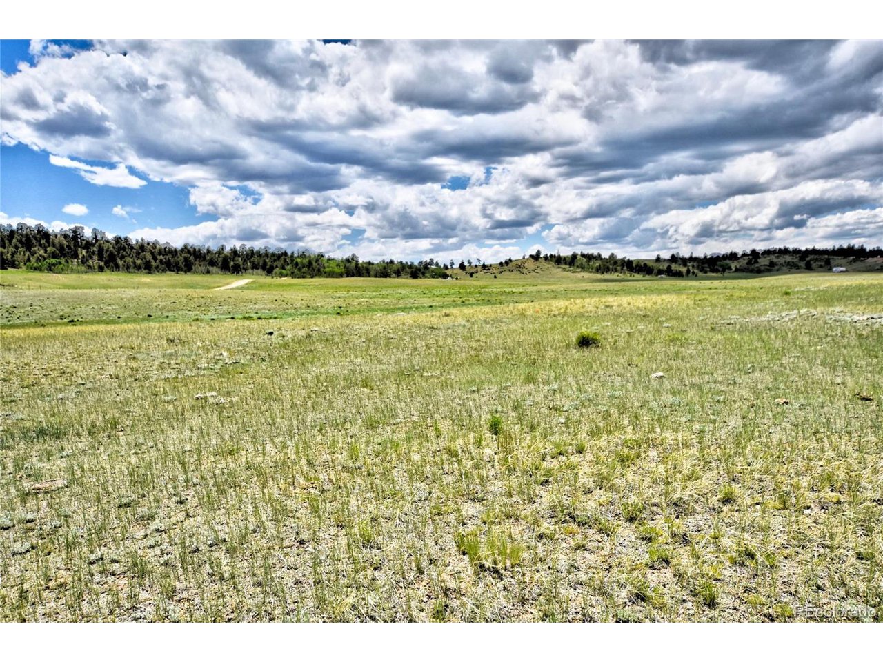 0 Black Hawk Road Hartsel, CO 80449 - Photo 3 of 24 Gallery Image 3