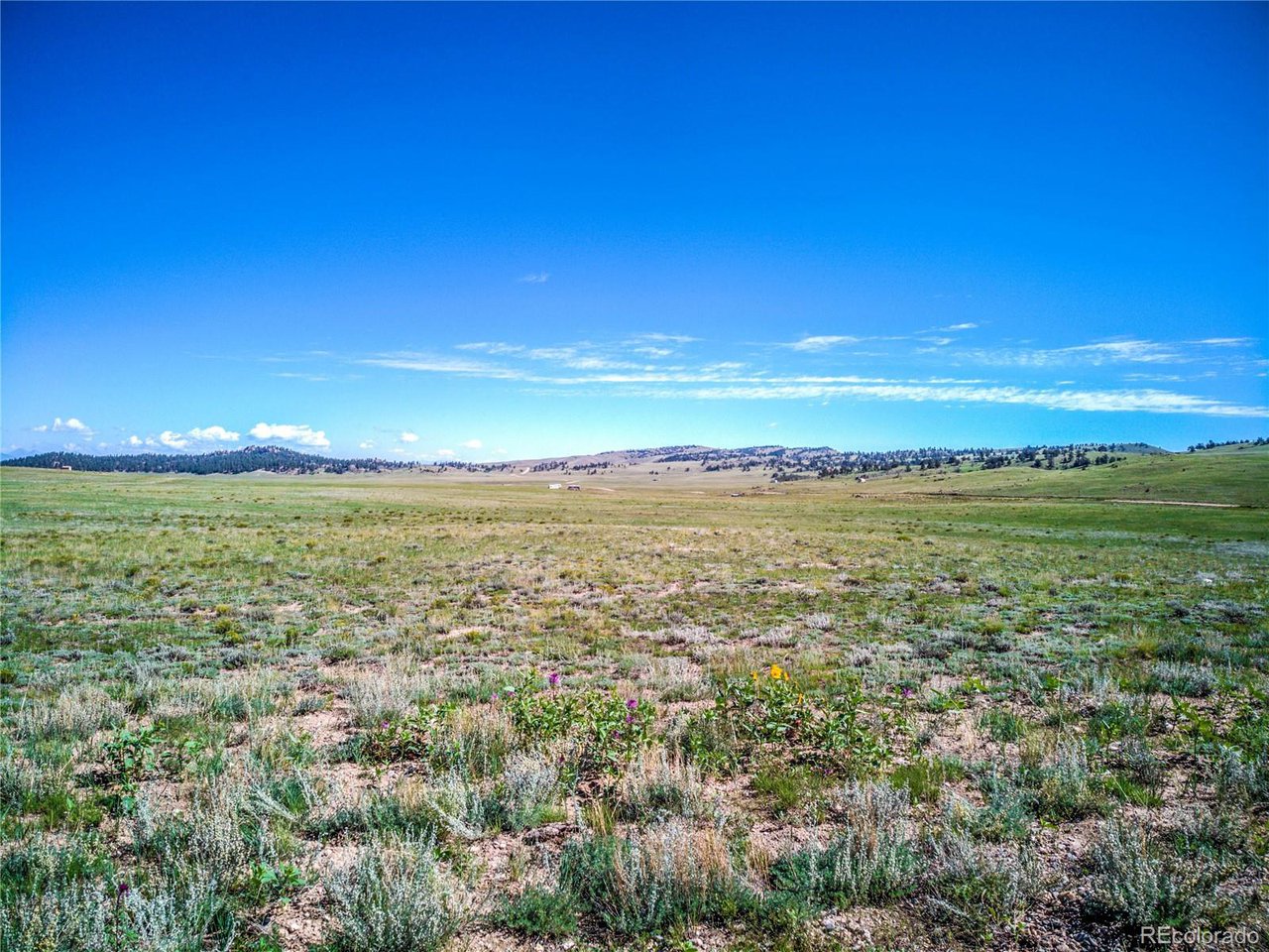 0 Black Hawk Road Hartsel, CO 80449 - Photo 9 of 24 Gallery Image 9