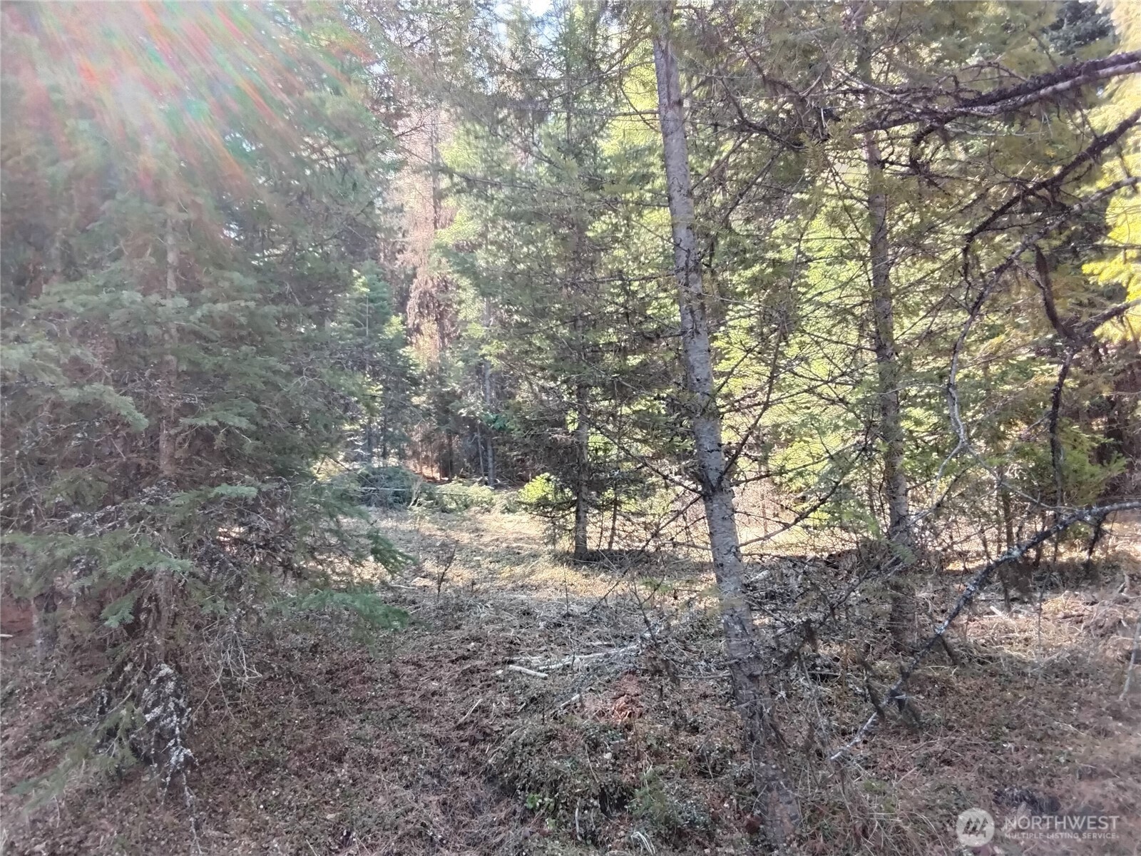 44 Trapline Loop Road Oroville, WA 98844 - Photo 2 of 9