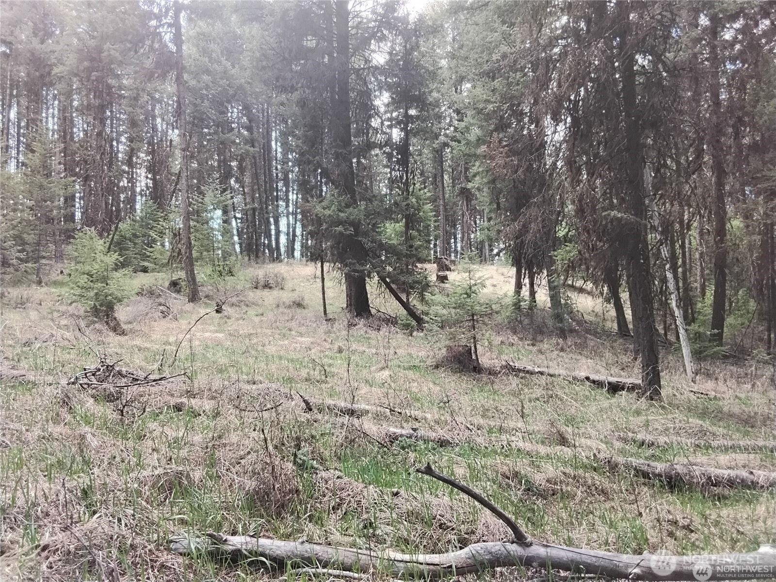 44 Trapline Loop Road Oroville, WA 98844 - Photo 3 of 9