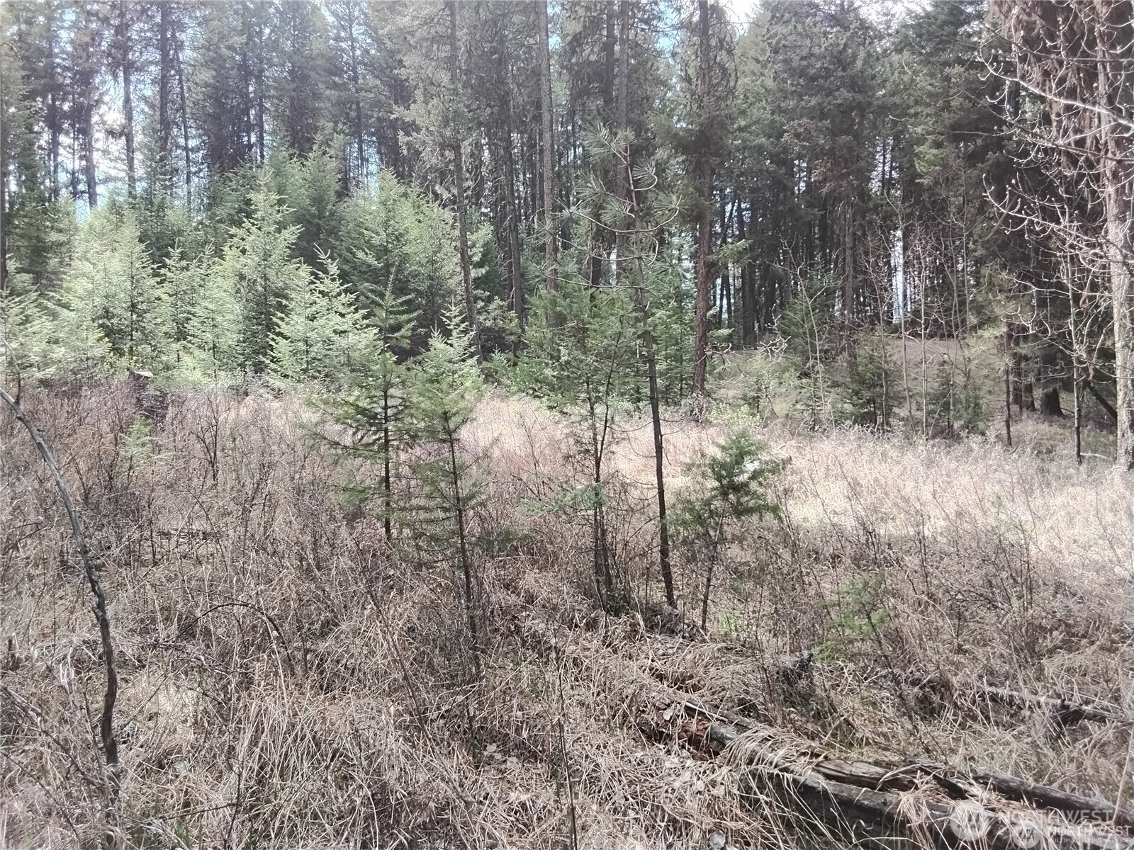 44 Trapline Loop Road Oroville, WA 98844 - Photo 4 of 9