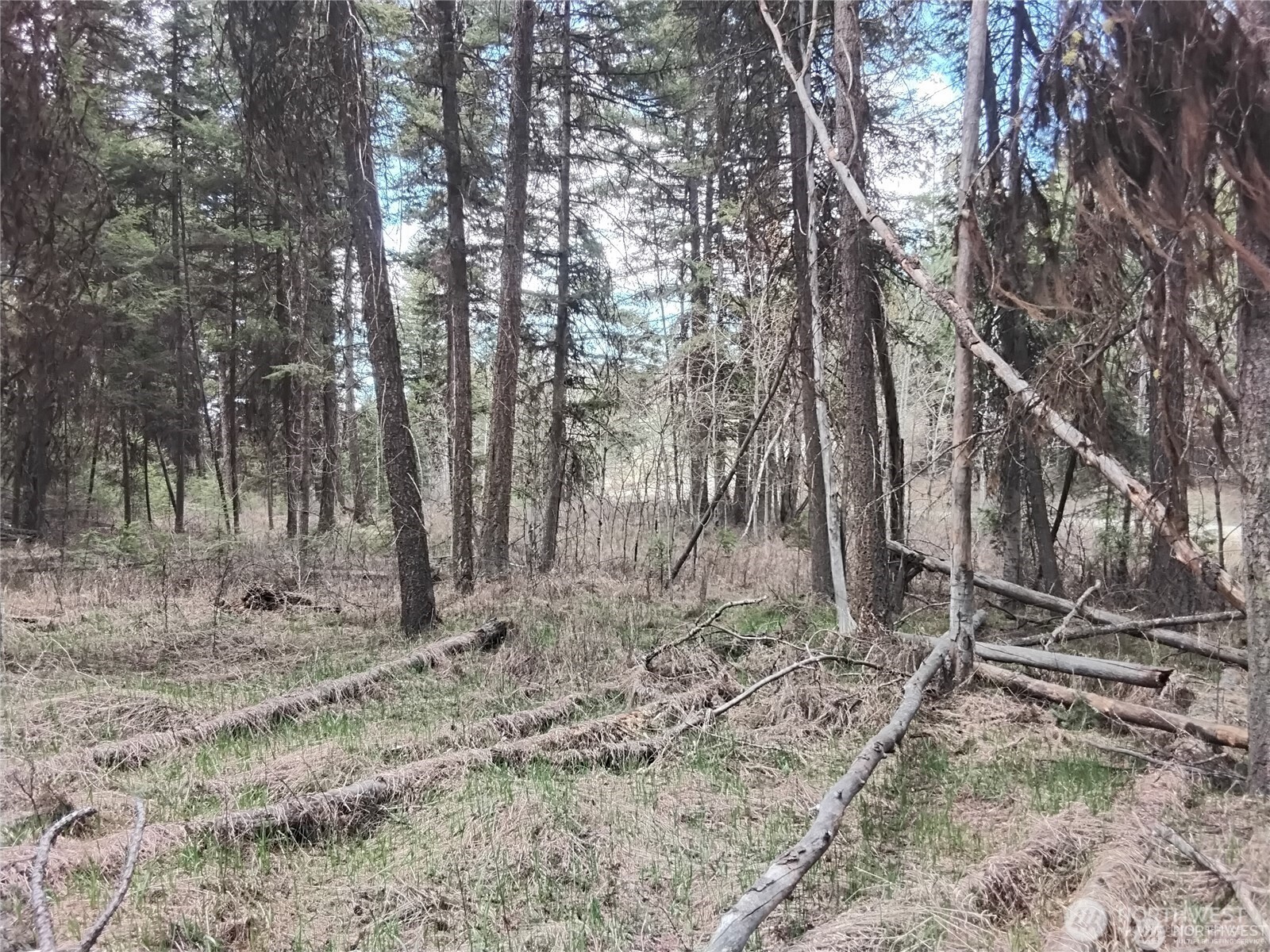 44 Trapline Loop Road Oroville, WA 98844 - Photo 5 of 9