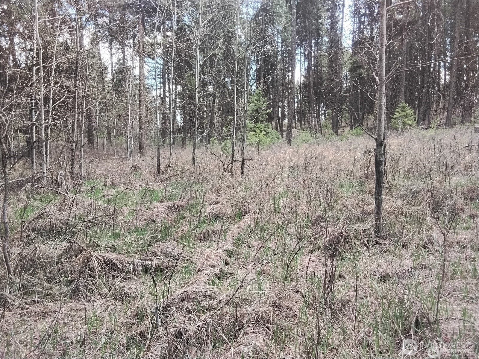 44 Trapline Loop Road Oroville, WA 98844 - Photo 6 of 9