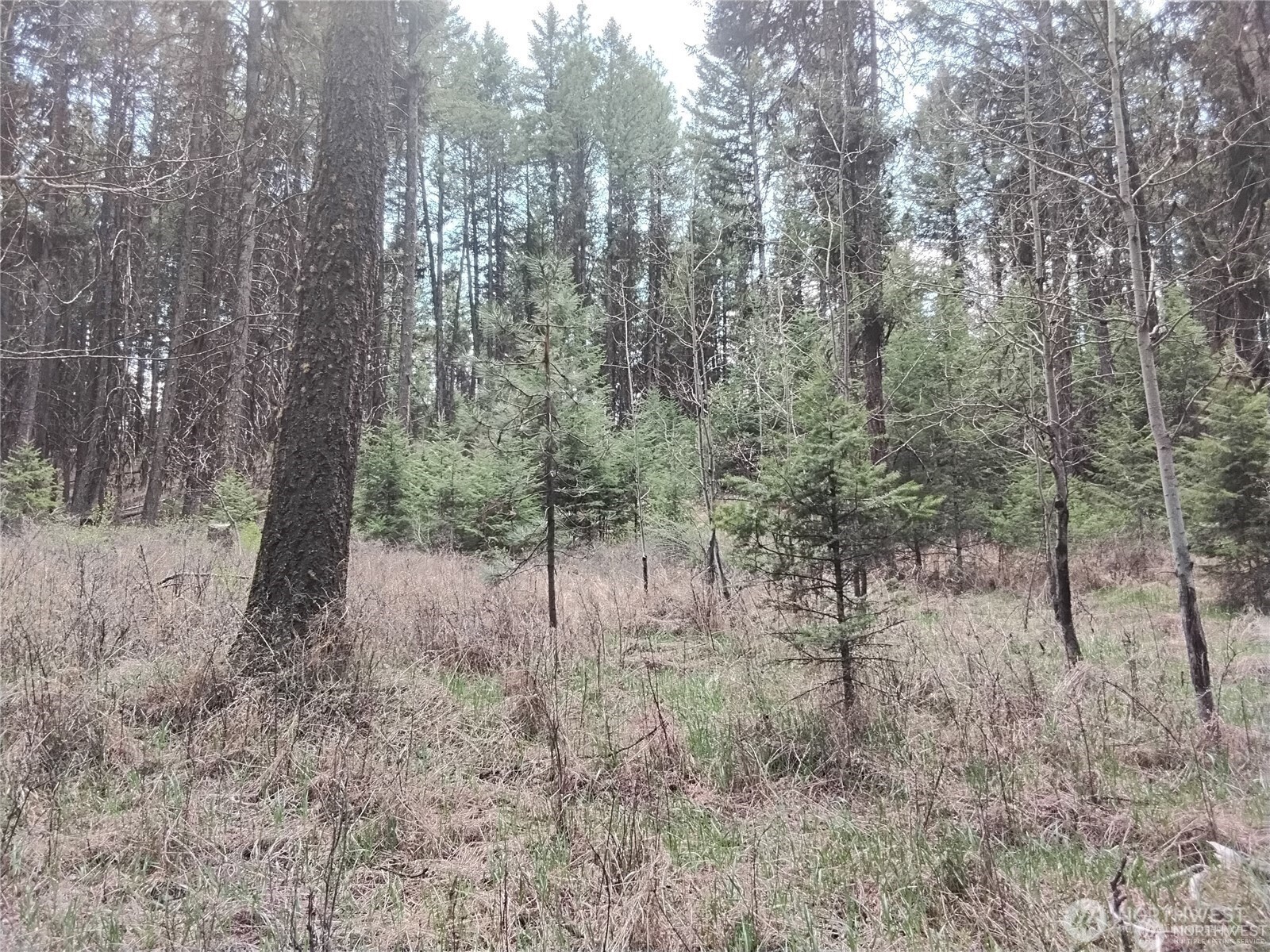 44 Trapline Loop Road Oroville, WA 98844 - Photo 7 of 9