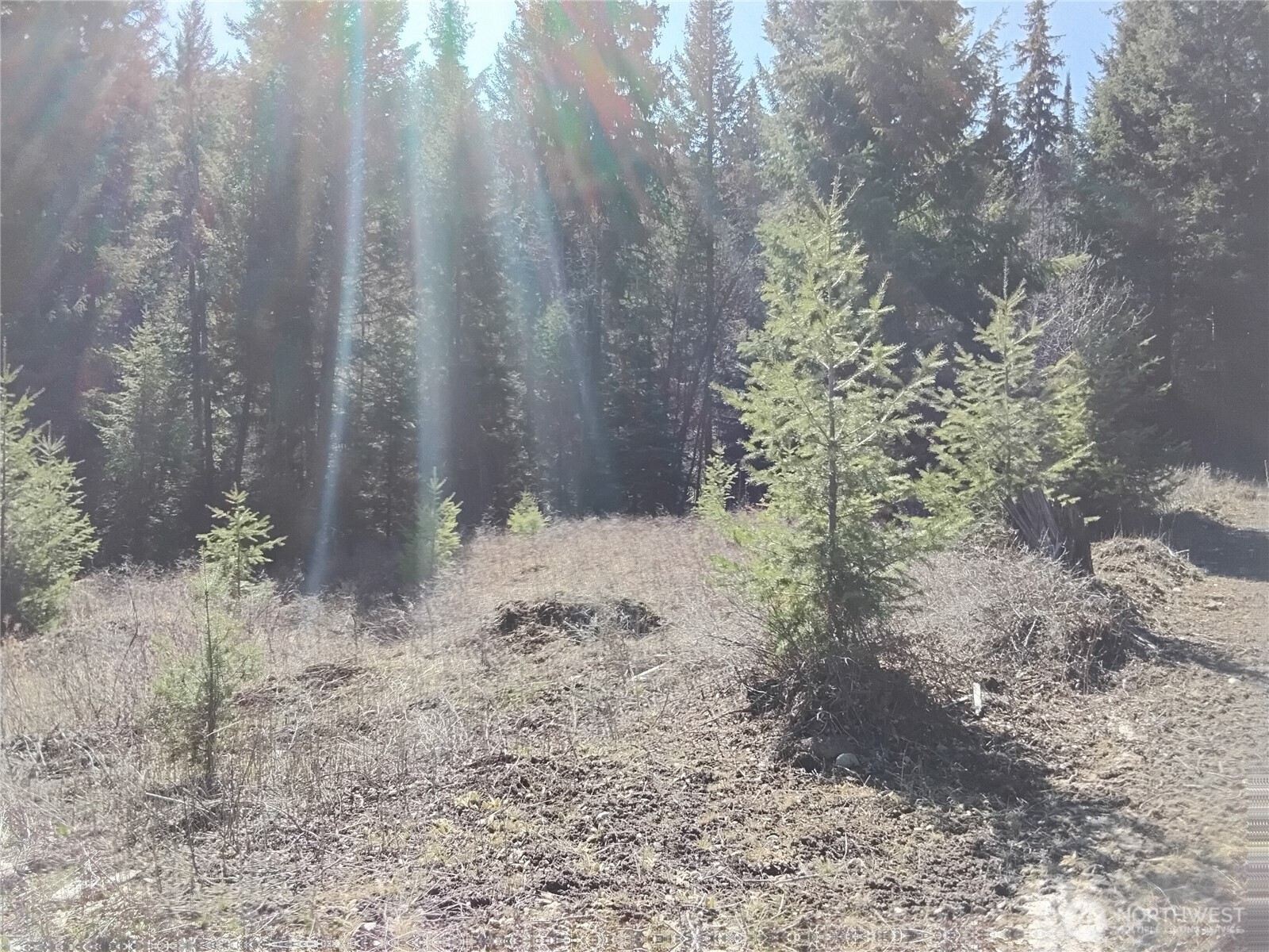 44 Trapline Loop Road Oroville, WA 98844 - Photo 9 of 9
