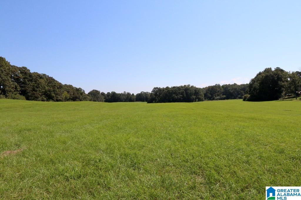0 Wilson Road, Unit 1 Clanton, AL 35045 - Photo 1 of 4