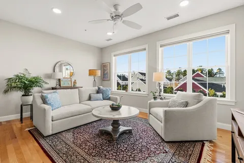 a living room with furniture and a potted plant