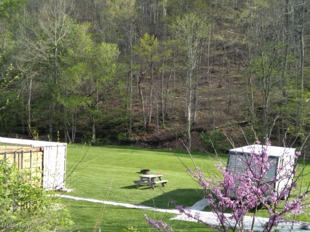 88 Ivy Road Walton, WV 25286 - Photo 29 of 37