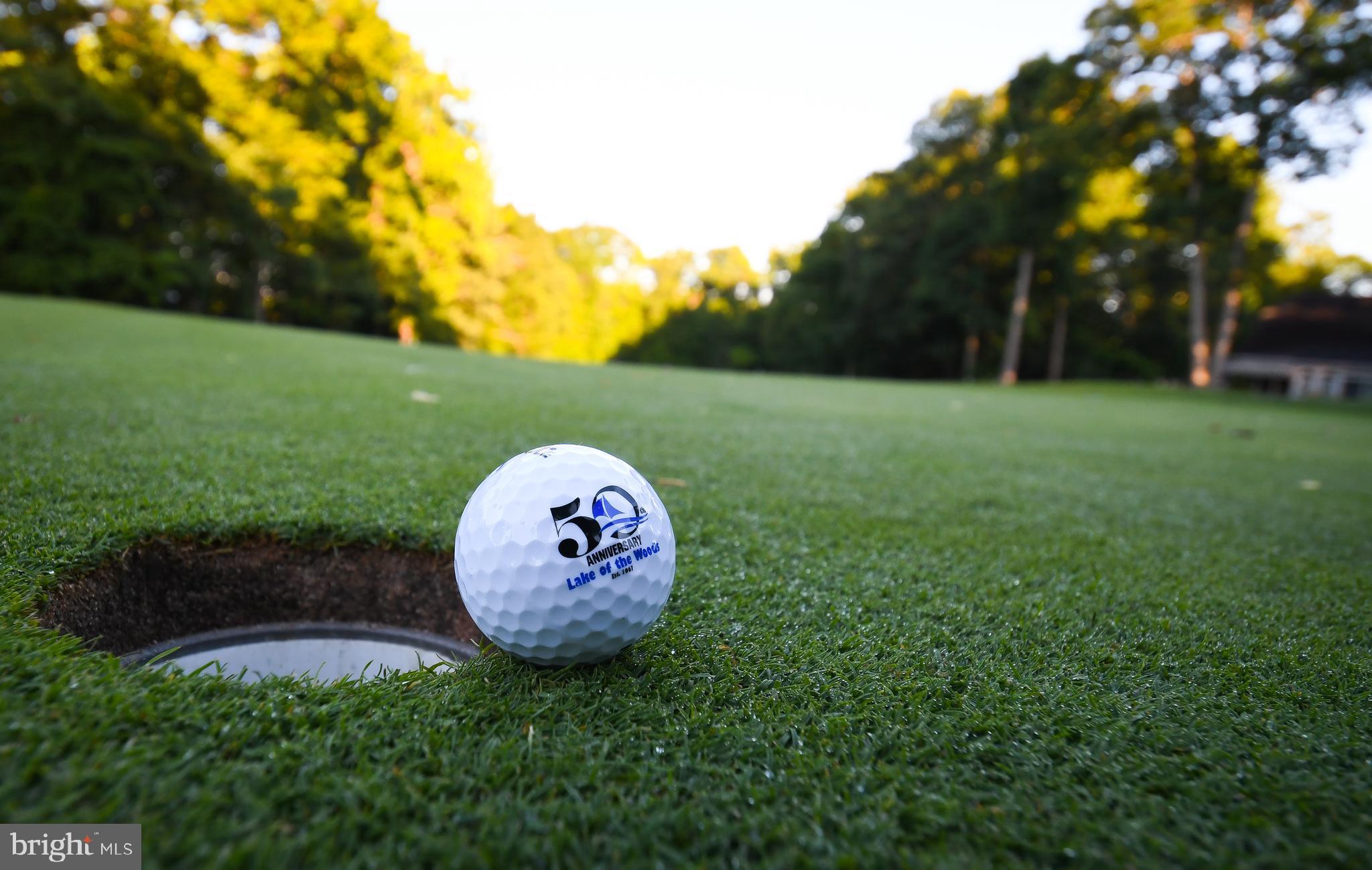 428 Birdie Road Locust Grove, VA 22508 - Photo 40 of 44 18 hole golf course