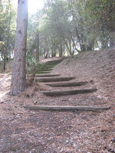 1921 Nutter Ranch Road Ahwahnee, CA 93601 - Photo 3 of 31 Stairs leading to one of the year round creeks.