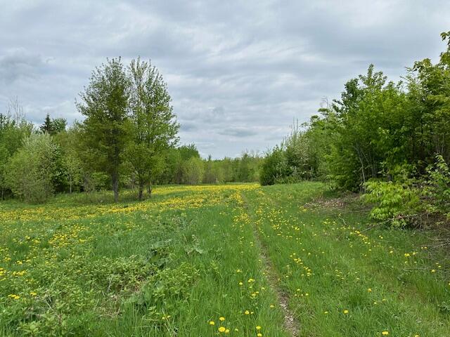 0 Wotton Road Monticello, ME 04760 - Photo 15 of 39 IMG_4439