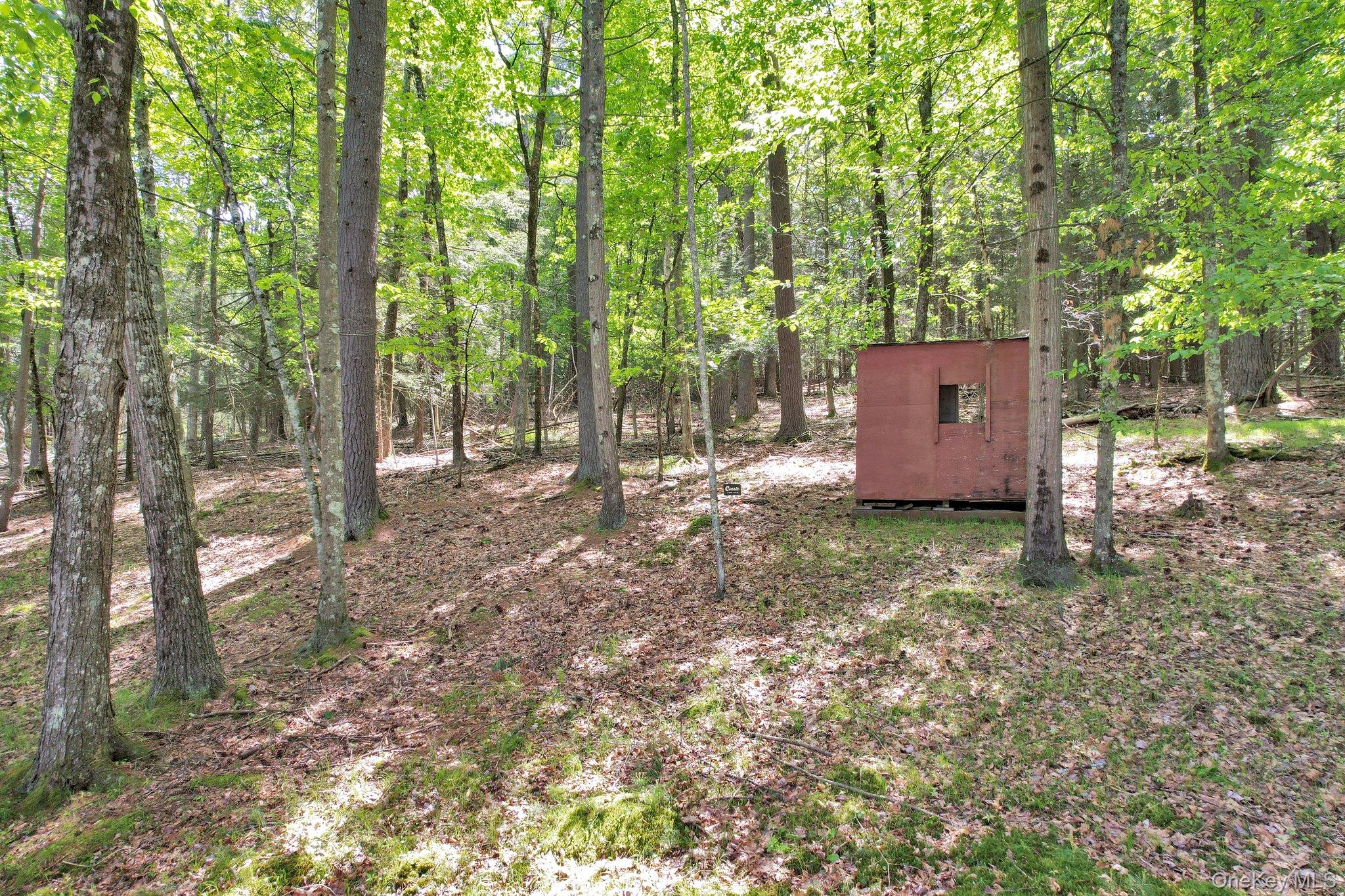 229 Eldred-Yulan Road Barryville, NY 12719 - Photo 32 of 34 a backyard of a house with lots of green space and garden view