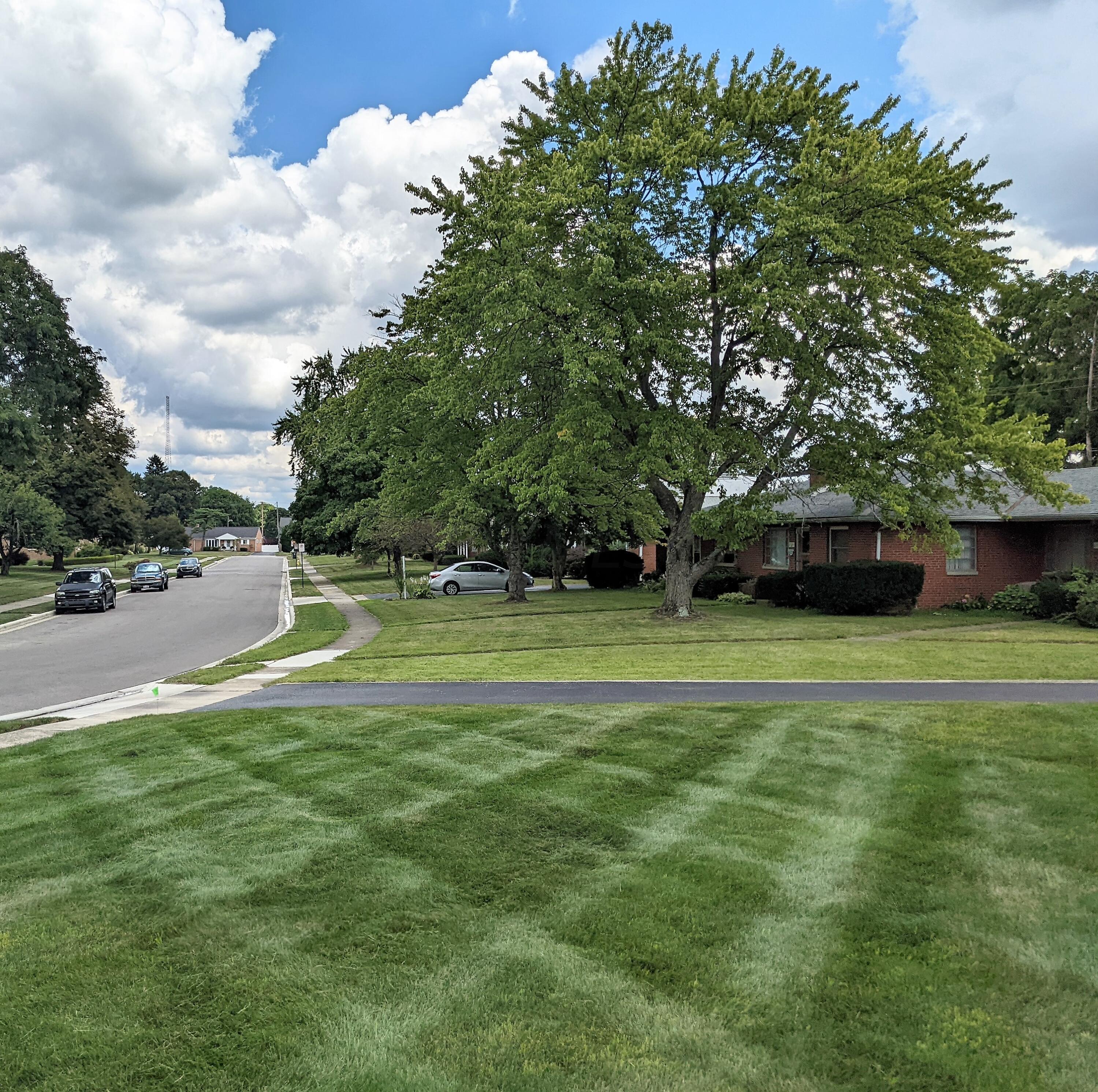 1777 Ardleigh Road Columbus, OH 43221 - Photo 4 of 35 PXL_20220817_173541918