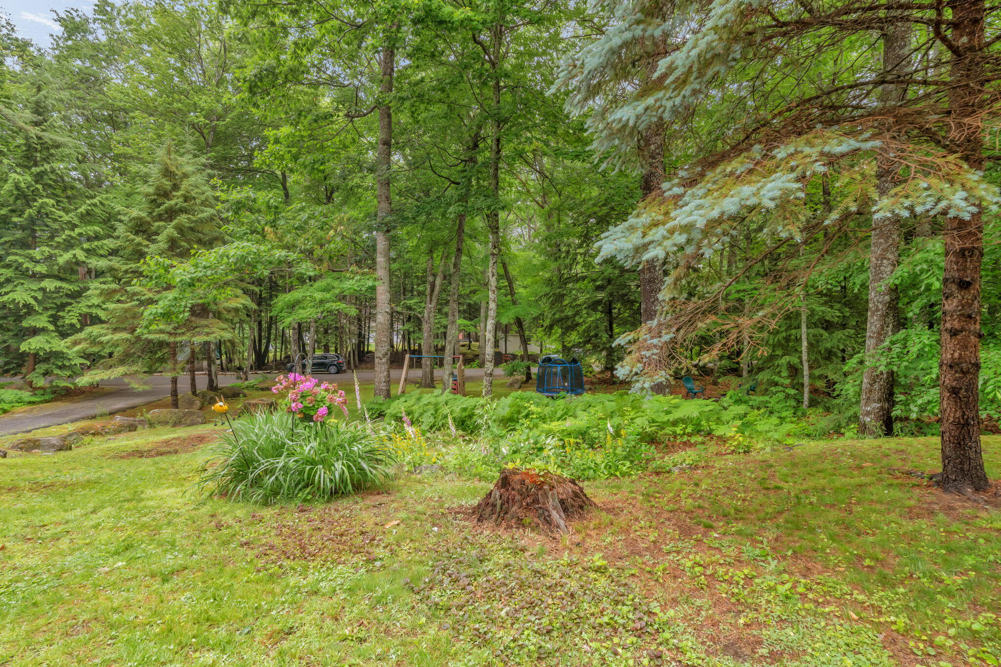 44 Pine Trail Dedham, ME 04429 - Photo 57 of 90 19-web-or-mls-44-pine-trail