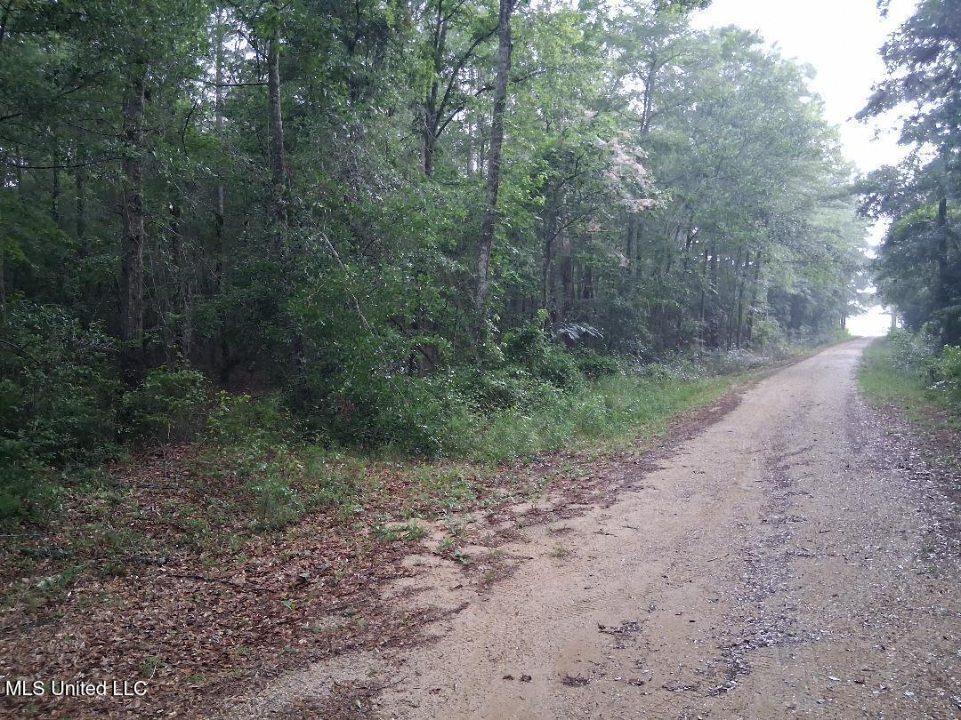 Us-45 Buckatunna, MS 39322 - Photo 2 of 8 2
