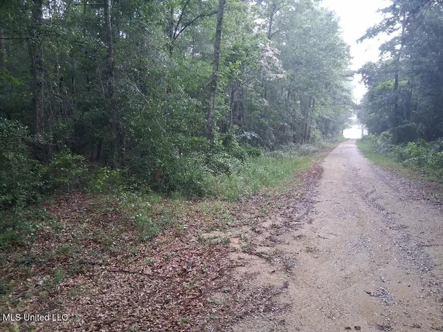 $55,000 | Us-45, Buckatunna, MS 39322