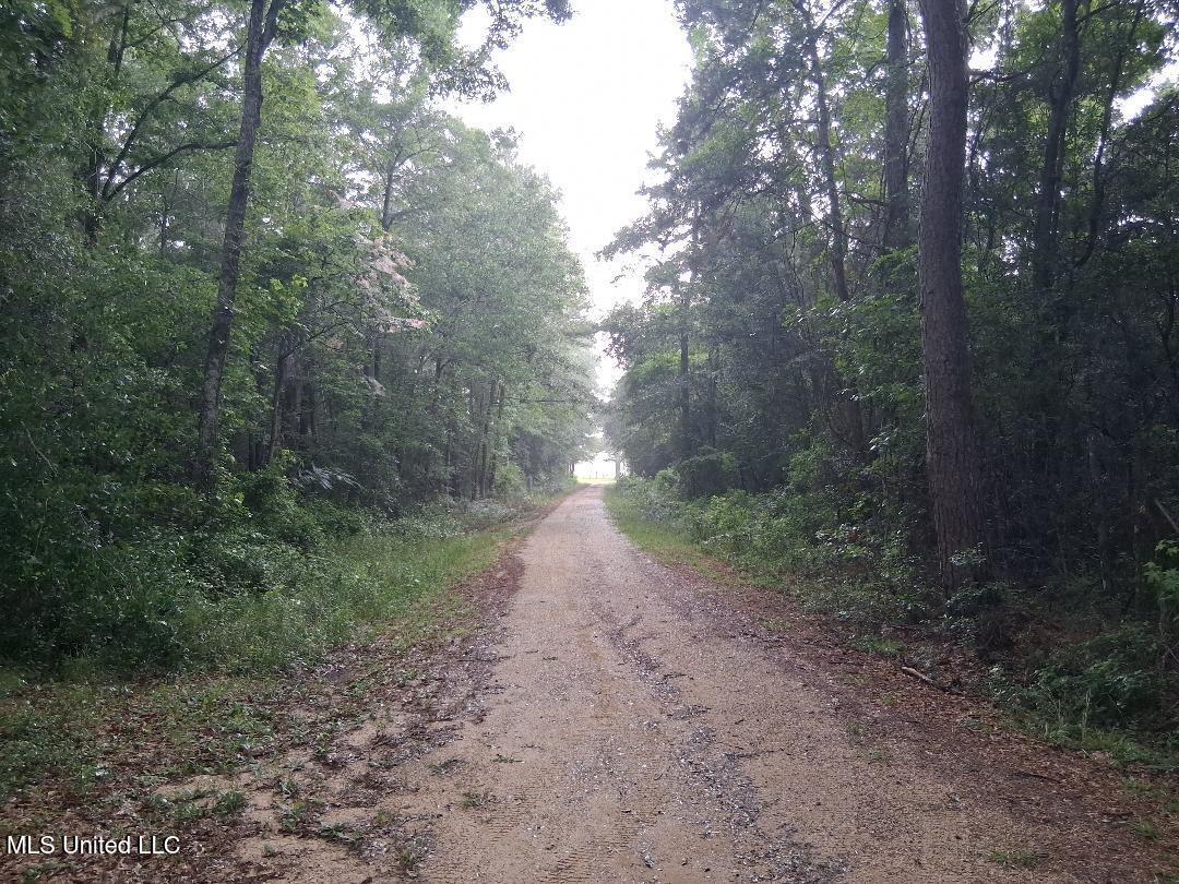 Us-45 Buckatunna, MS 39322 - Photo 4 of 8 4