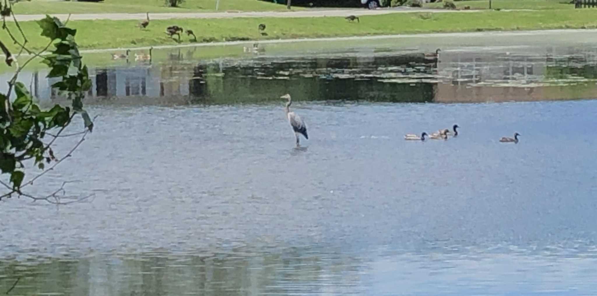 39 Violet Drive Beacon, NY 12508 - Photo 28 of 28