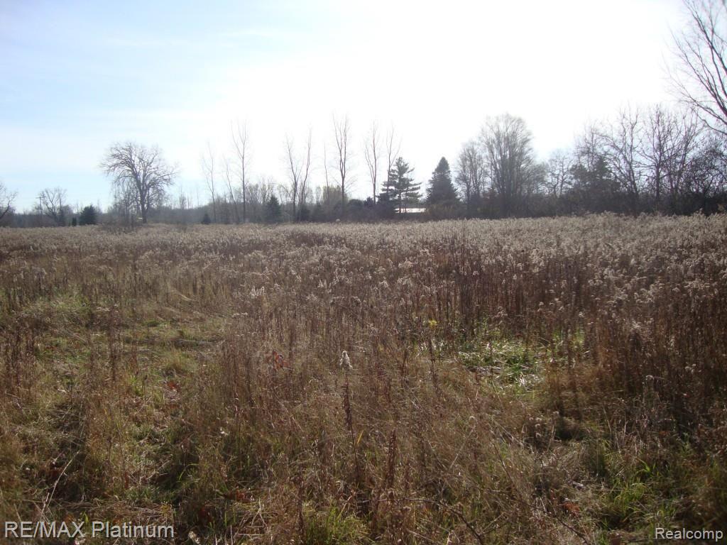 Vac West Iosco Road Fowlerville, MI 48836 - Photo 4 of 13