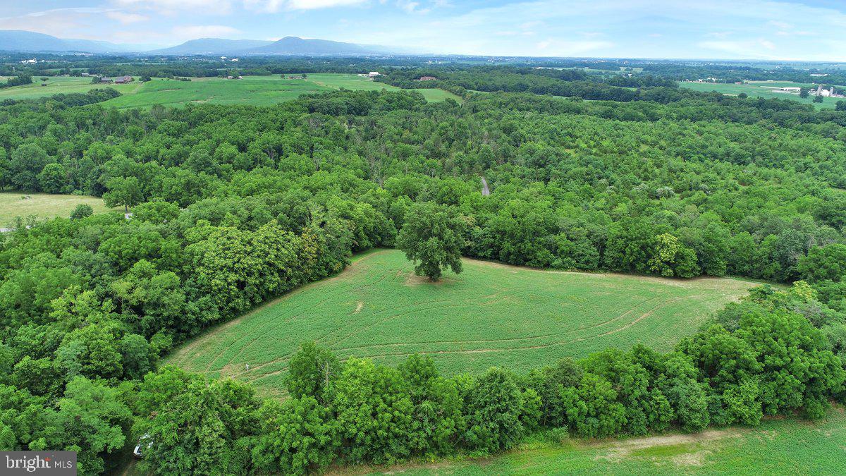 10300 Reeder Road Mercersburg, PA 17236 - Photo 9 of 22 Gallery Image 9