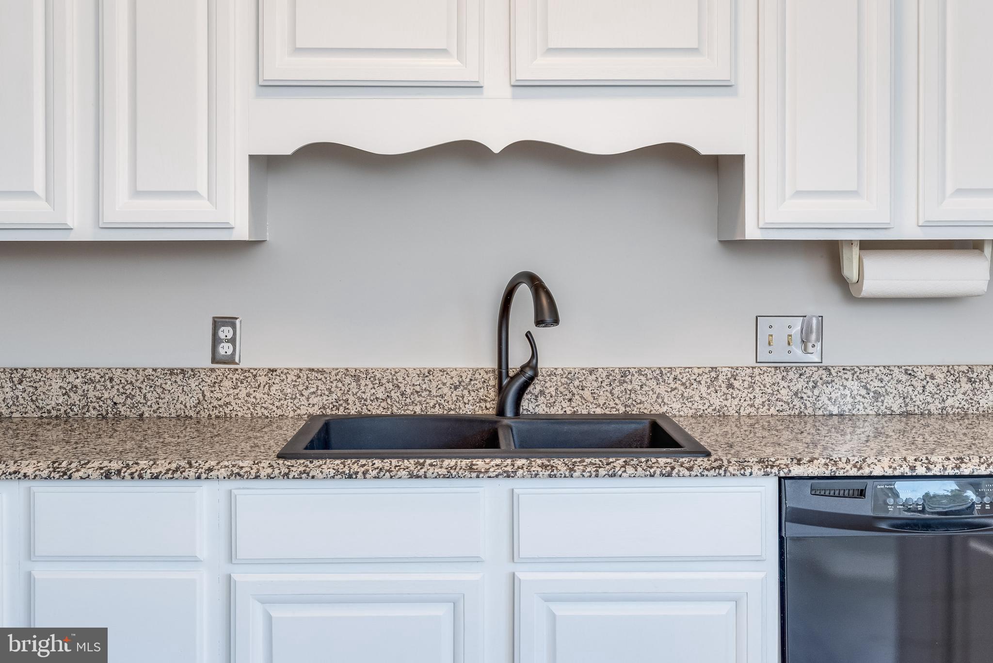 346 Deer Ridge Drive Harpers Ferry, WV 25425 - Photo 23 of 63 Space is completed w/ black acrylic double sink