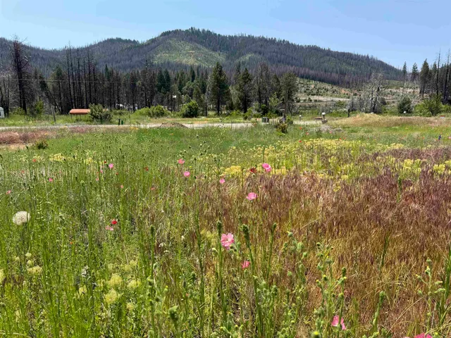 $25,000 | 174 Hot Springs Road, Greenville, CA 95947