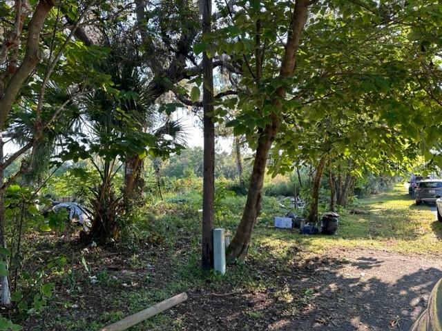 10207 East Pike Drive Inverness, FL 34450 - Photo 11 of 13 a backyard of a house with lots of green space