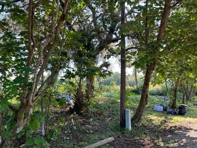 10207 East Pike Drive Inverness, FL 34450 - Photo 13 of 13 a view of a forest with trees in front of it