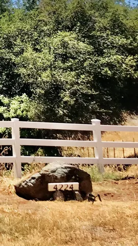 a view of water view