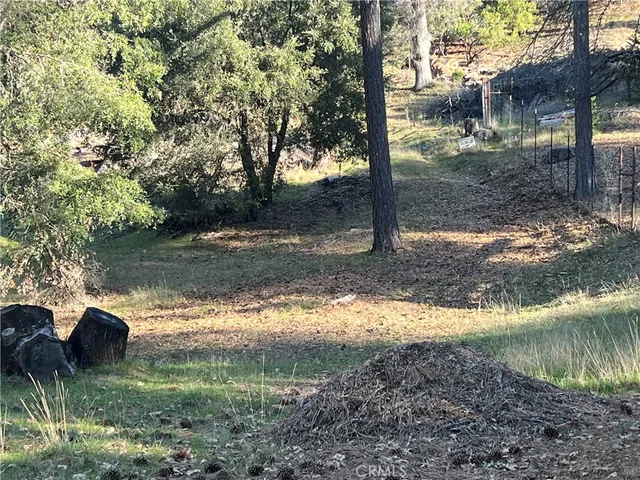 a view of a tree with a yard