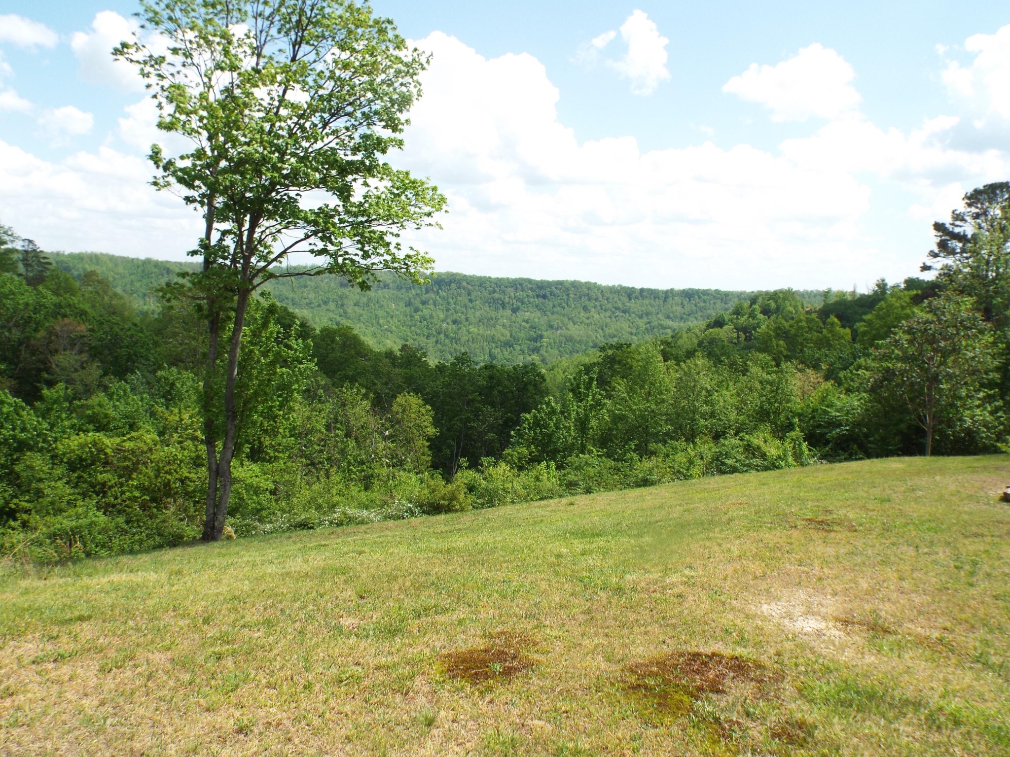 2255 Doubletop Road Jamestown, TN 38556 - Photo 4 of 24 Gallery Image 4